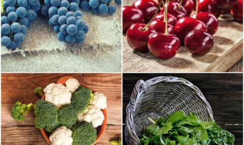 flavonoid-foods - Copy